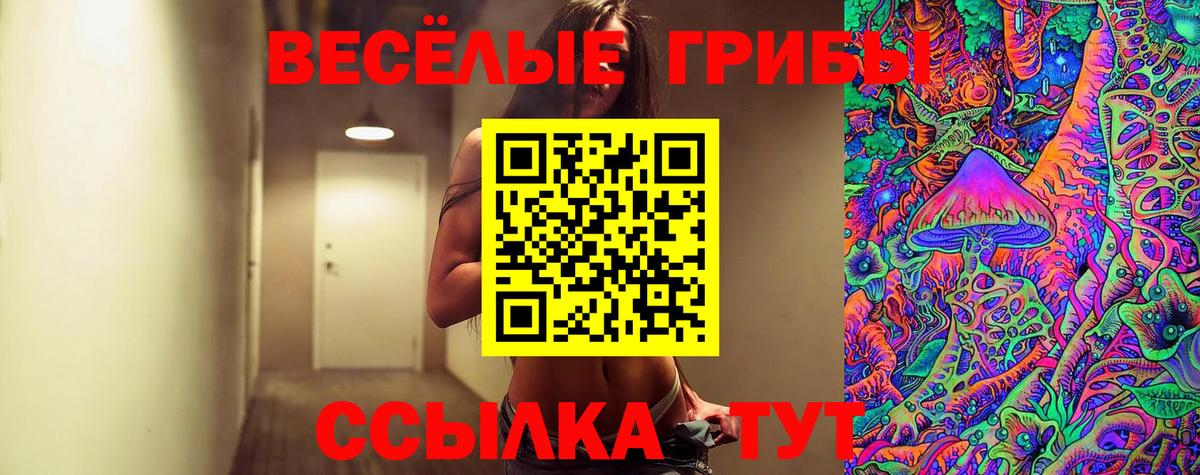 Галлюциногенные грибы GOLDEN TEACHER Стрежевой